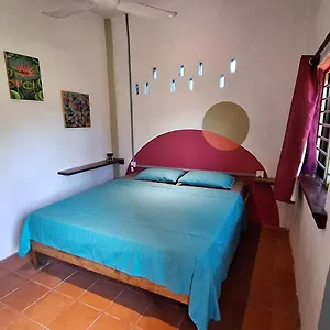 Dragonfly Hostel