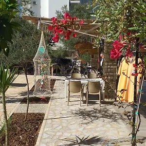 Solive Guest house